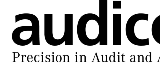 Audicon GmbH investiert in die österreichische fiskaltrust