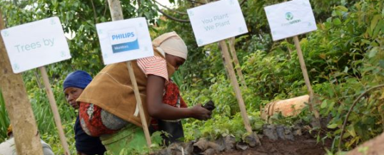 Philips Monitore stehen für Nachhaltigkeit: Wiederaufforstungs-Kampagne in Partnerschaft mit ForestNation