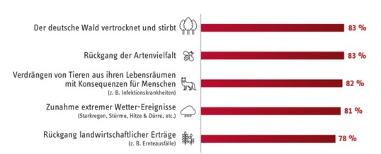 Umfrage: 83% der Deutschen haben Angst, dass der Wald als Klimawandel-Folge stirbt