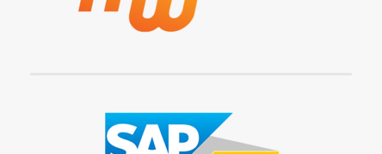 SAP Gold-Status für Hamburger Digitalagentur Medienwerft