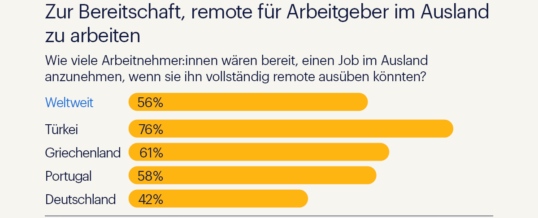 IT-Personalmangel durch Fachkräfte aus dem Ausland bekämpfen